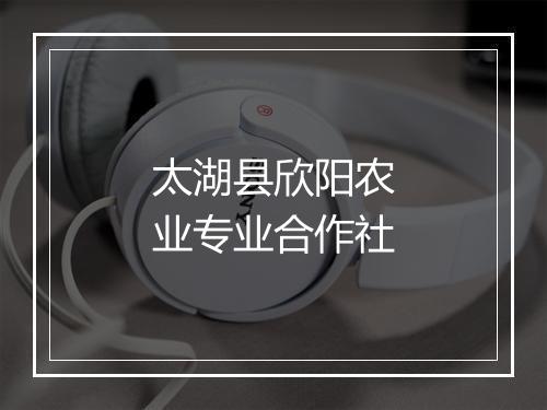 太湖县欣阳农业专业合作社