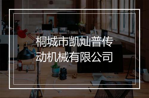 桐城市凯灿普传动机械有限公司
