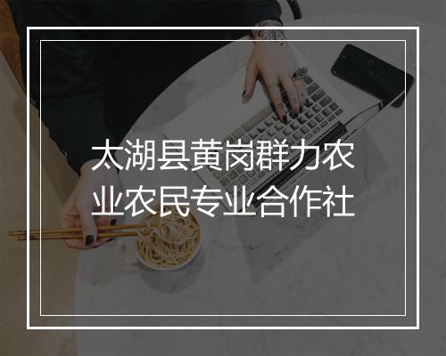 太湖县黄岗群力农业农民专业合作社