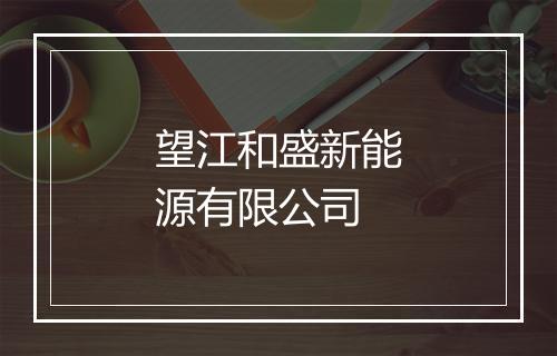 望江和盛新能源有限公司