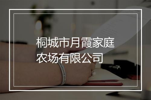 桐城市月霞家庭农场有限公司