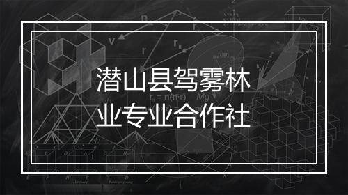 潜山县驾雾林业专业合作社