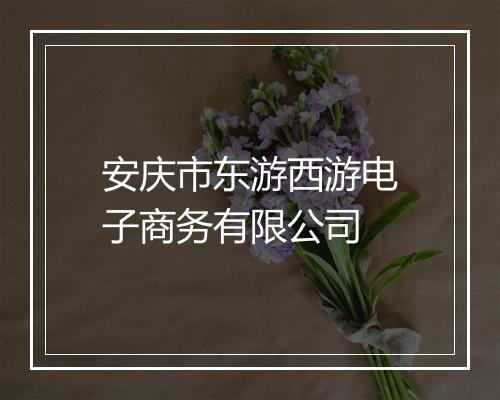 安庆市东游西游电子商务有限公司
