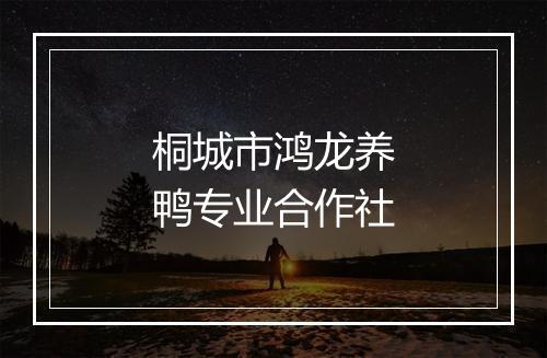 桐城市鸿龙养鸭专业合作社