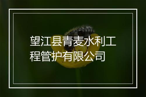 望江县青麦水利工程管护有限公司
