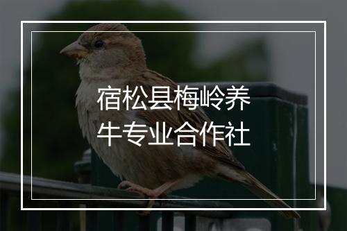 宿松县梅岭养牛专业合作社