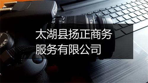 太湖县扬正商务服务有限公司