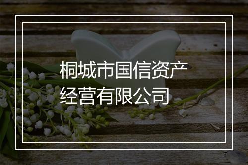 桐城市国信资产经营有限公司