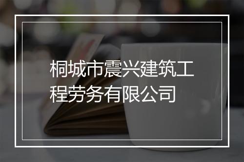 桐城市震兴建筑工程劳务有限公司