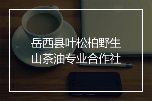 岳西县叶松柏野生山茶油专业合作社