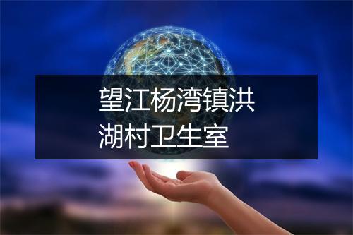 望江杨湾镇洪湖村卫生室
