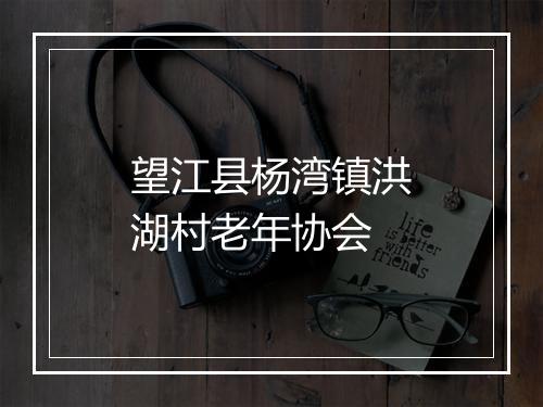 望江县杨湾镇洪湖村老年协会