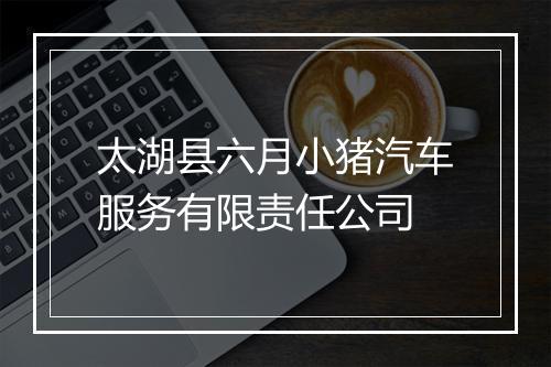太湖县六月小猪汽车服务有限责任公司