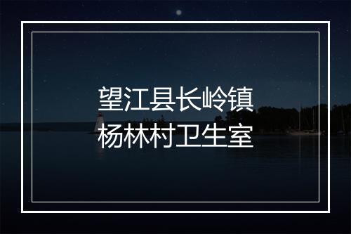 望江县长岭镇杨林村卫生室