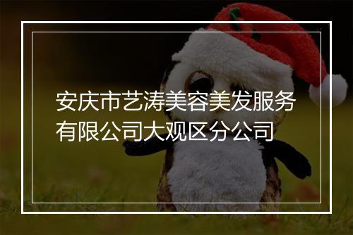 安庆市艺涛美容美发服务有限公司大观区分公司