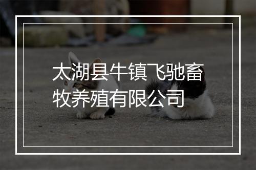 太湖县牛镇飞驰畜牧养殖有限公司