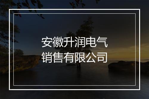 安徽升润电气销售有限公司