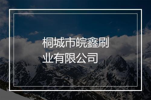 桐城市皖鑫刷业有限公司