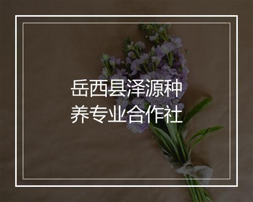 岳西县泽源种养专业合作社