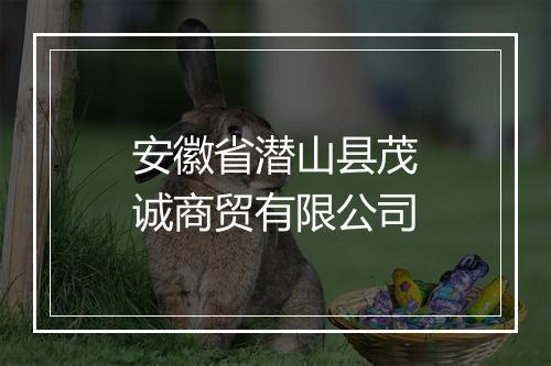 安徽省潜山县茂诚商贸有限公司