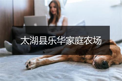 太湖县乐华家庭农场