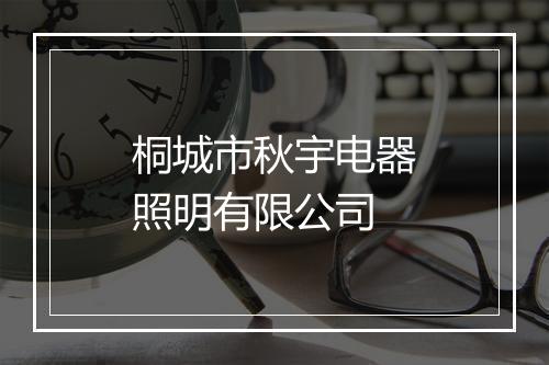 桐城市秋宇电器照明有限公司