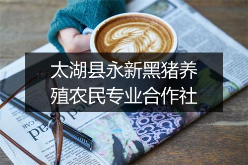 太湖县永新黑猪养殖农民专业合作社