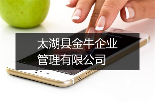 太湖县金牛企业管理有限公司