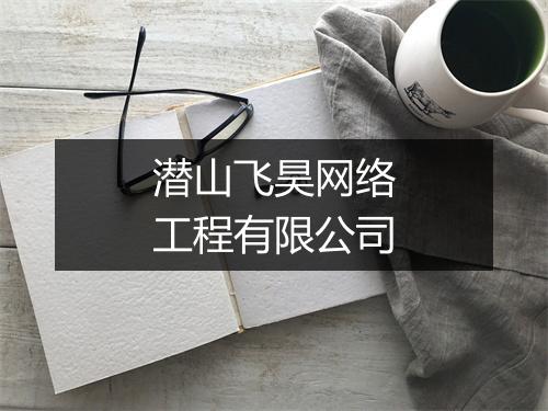 潜山飞昊网络工程有限公司