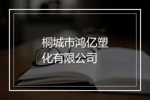 桐城市鸿亿塑化有限公司