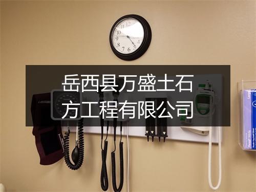 岳西县万盛土石方工程有限公司