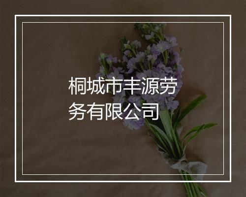 桐城市丰源劳务有限公司