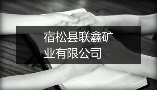 宿松县联鑫矿业有限公司