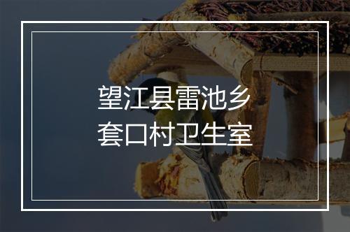 望江县雷池乡套口村卫生室