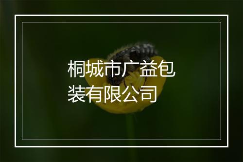 桐城市广益包装有限公司
