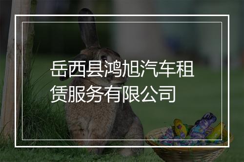 岳西县鸿旭汽车租赁服务有限公司
