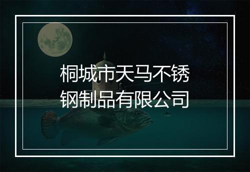 桐城市天马不锈钢制品有限公司