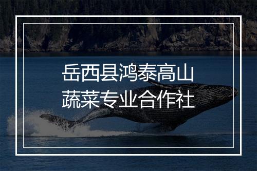 岳西县鸿泰高山蔬菜专业合作社