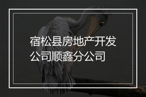 宿松县房地产开发公司顺鑫分公司