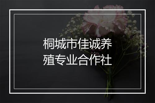 桐城市佳诚养殖专业合作社
