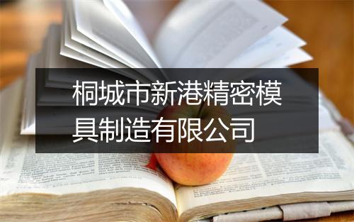 桐城市新港精密模具制造有限公司