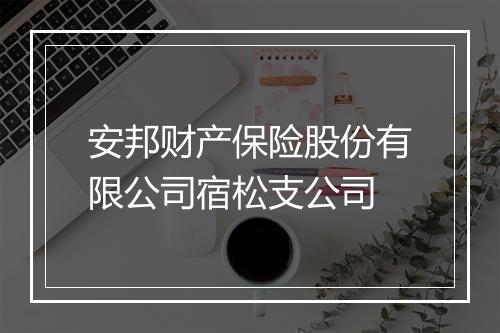 安邦财产保险股份有限公司宿松支公司