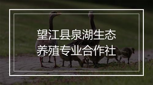 望江县泉湖生态养殖专业合作社