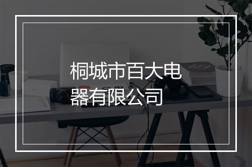 桐城市百大电器有限公司