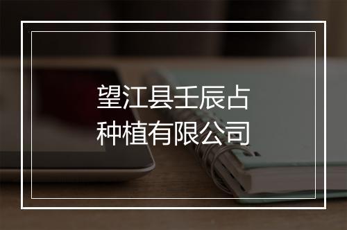 望江县壬辰占种植有限公司