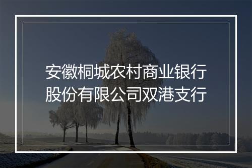 安徽桐城农村商业银行股份有限公司双港支行