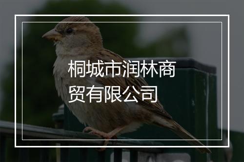 桐城市润林商贸有限公司