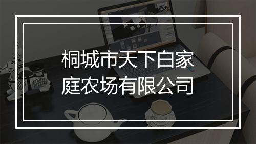 桐城市天下白家庭农场有限公司