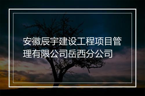 安徽辰宇建设工程项目管理有限公司岳西分公司