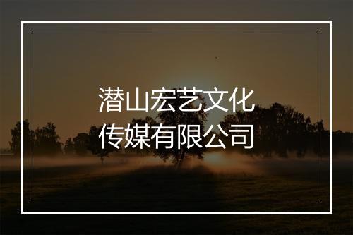 潜山宏艺文化传媒有限公司